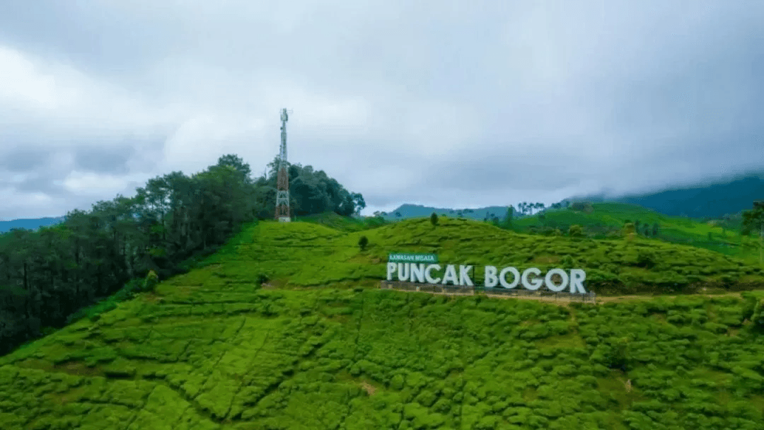 Puncak